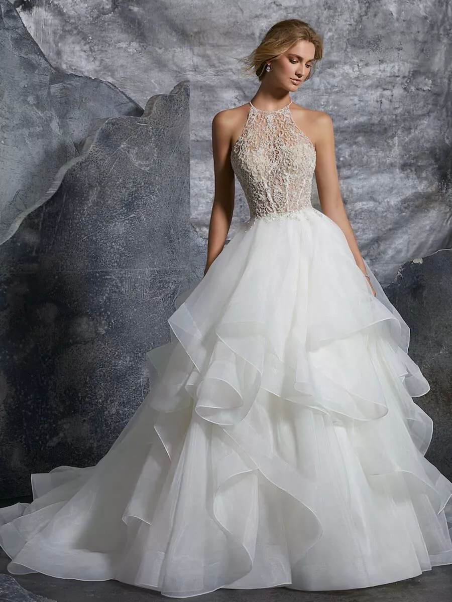 Every Bride Should Know About These Wedding Gown Design Image